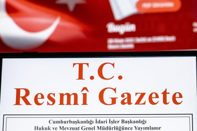 Sokak hayvanlarına ilişkin yasa Resmi Gazete'de