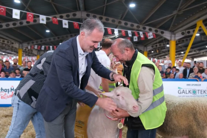 İnegöl’de Podyum Koç Ve Süs Tavuklarının