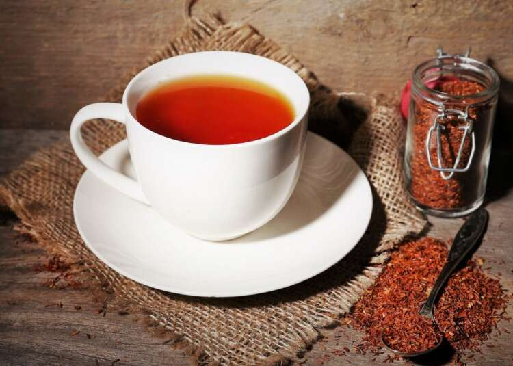 Rooibos Çayı