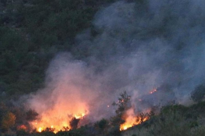Adana'da 2 günde 10 orman yangını!