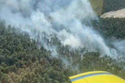 Balıkesir'de 2 ilçede orman yangını
