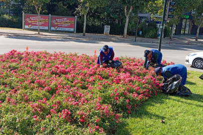 Bursa estetikle buluşuyor