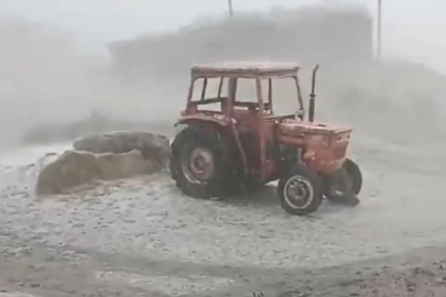 Muş'ta dolu ve sağanak tarım arazilerini vurdu