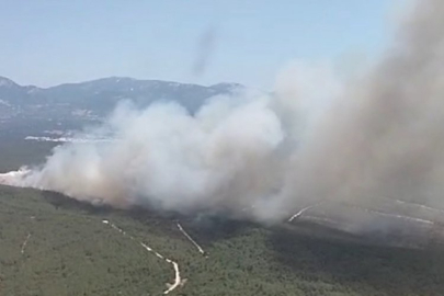 İzmir'de orman yangını