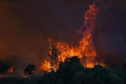 İzmir'de orman yangını! Uçak seferlerinde aksamalar yaşanıyor