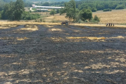 Bolu'da balya yapılmayı bekleyen buğday sapları yandı