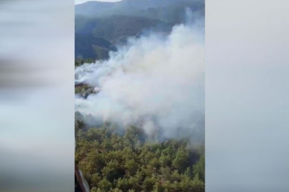 Muğla'da orman yangını: Ekipler alevlere müdahale ediyor