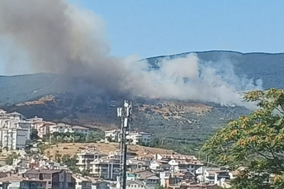 Erdek'te orman yangını: Ekipler müdahaleye başladı!