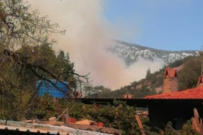 Muğla'da ormanlık alanda yangın! Karayolu ulaşıma kapandı