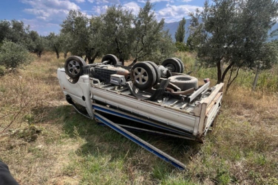 Bursa'da kontrolden çıkan kamyonet zeytin tarlasına devrildi