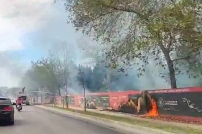 Bursa'da anız yangını!