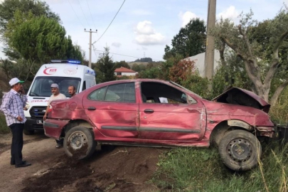 Sakarya'da yoldan çıkan araç fidanlığa uçtu: Sıkışan sürücüyü itfaiye kurtardı