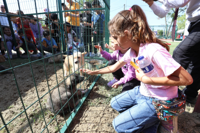 Hayvanları Koruma Gününe Renkli Kutlama