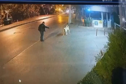 Bahçelievler'de korkutmak için ateş eden adama köpek aldırmadı