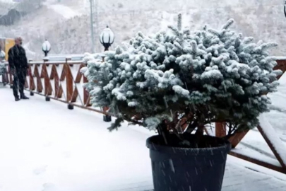 Meteorolojiden zirai don uyarısı