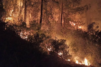 Muğla'daki orman yangını kısmen kontrol altına alındı