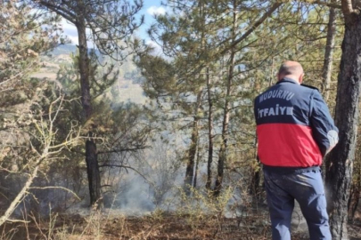 Bolu'da korkutan ot yangını