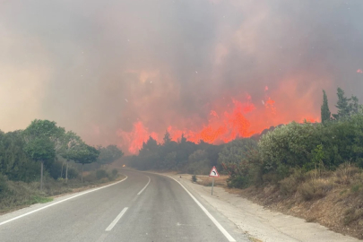 Çanakkale'de ormanlara giriş yasağı uzatıldı