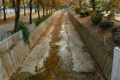 Bursa'da kuraklık, su kaynakları tükenen dereleri vurdu!