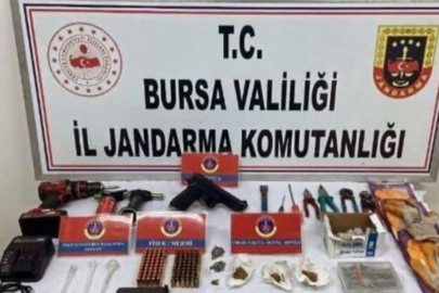 Bursa'da yazlık ev faresi jandarmadan kaçamadı!