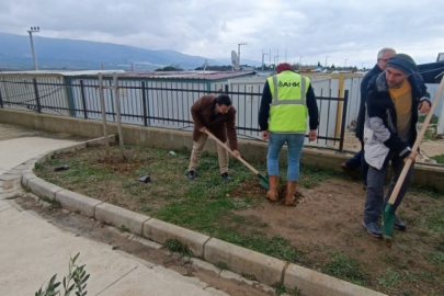 Bursa Orhangazi'de fidanlar toprakla buluşmaya devam ediyor