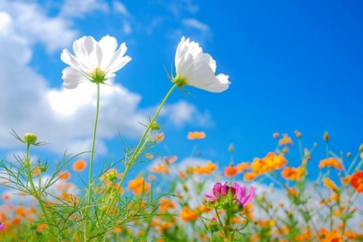 Nevruz Bayramı ne zaman? Nevruz Bayramı gelenekleri neler?